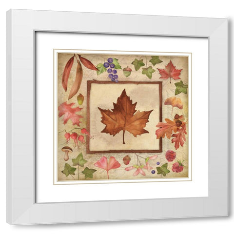 Maple of Fall 1 White Modern Wood Framed Art Print with Double Matting by Marrott, Stephanie