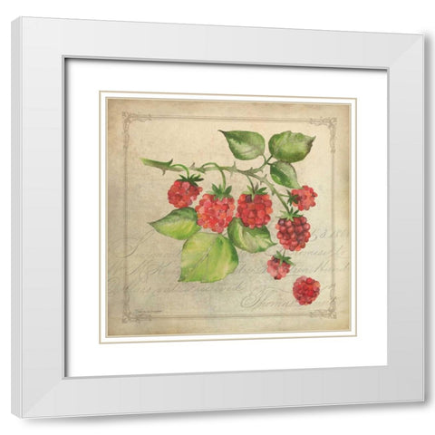 Rasberry Collage White Modern Wood Framed Art Print with Double Matting by Marrott, Stephanie