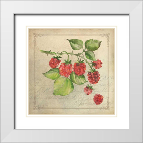 Rasberry Collage White Modern Wood Framed Art Print with Double Matting by Marrott, Stephanie