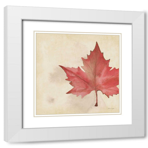 Maple In Fall White Modern Wood Framed Art Print with Double Matting by Marrott, Stephanie