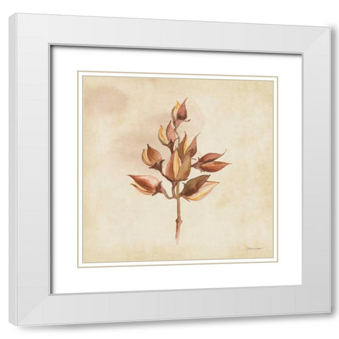 Seeds In Fall White Modern Wood Framed Art Print with Double Matting by Marrott, Stephanie