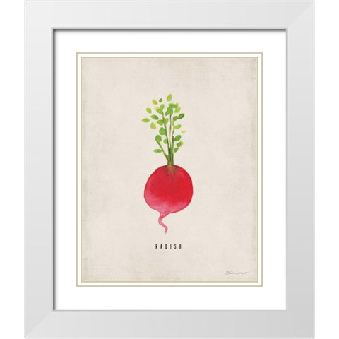 Radish White Modern Wood Framed Art Print with Double Matting by Marrott, Stephanie