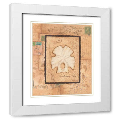 Sand Dollar White Modern Wood Framed Art Print with Double Matting by Marrott, Stephanie