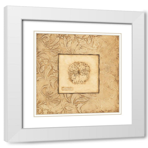 Rose Coral White Modern Wood Framed Art Print with Double Matting by Marrott, Stephanie