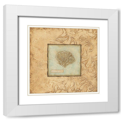 Scallop White Modern Wood Framed Art Print with Double Matting by Marrott, Stephanie