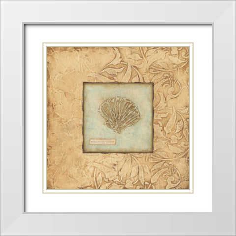 Scallop White Modern Wood Framed Art Print with Double Matting by Marrott, Stephanie