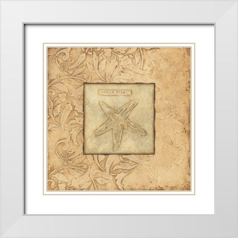 Sugar Star White Modern Wood Framed Art Print with Double Matting by Marrott, Stephanie