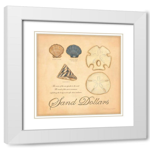Sand Dollars White Modern Wood Framed Art Print with Double Matting by Marrott, Stephanie