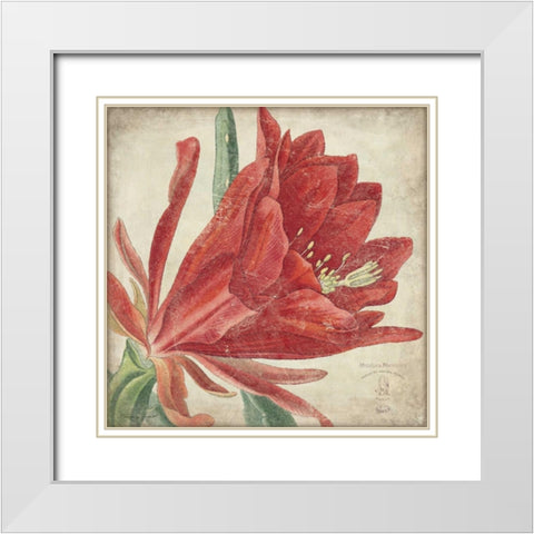 Red Flower White Modern Wood Framed Art Print with Double Matting by Marrott, Stephanie