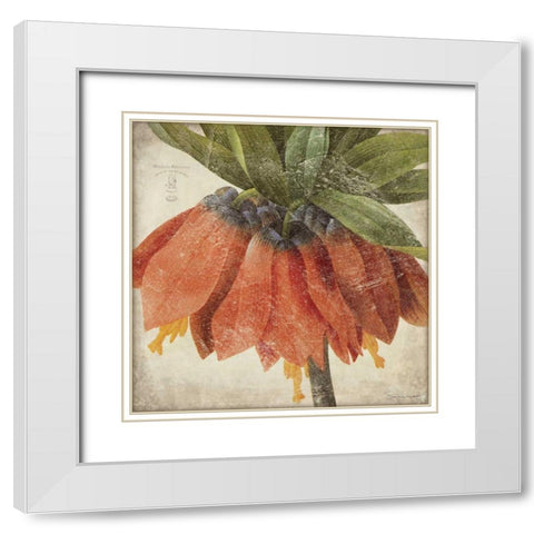 Orange Flower White Modern Wood Framed Art Print with Double Matting by Marrott, Stephanie