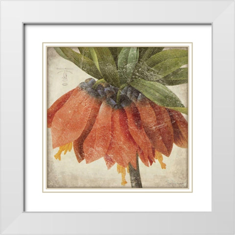 Orange Flower White Modern Wood Framed Art Print with Double Matting by Marrott, Stephanie