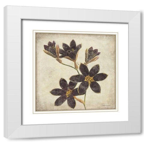 Purple Flower White Modern Wood Framed Art Print with Double Matting by Marrott, Stephanie