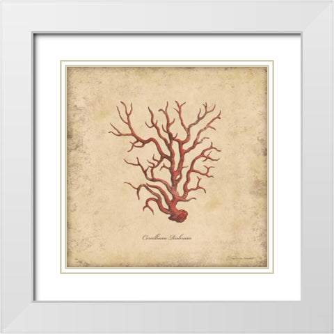 Shells I White Modern Wood Framed Art Print with Double Matting by Marrott, Stephanie