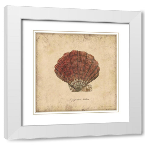 Shells II White Modern Wood Framed Art Print with Double Matting by Marrott, Stephanie