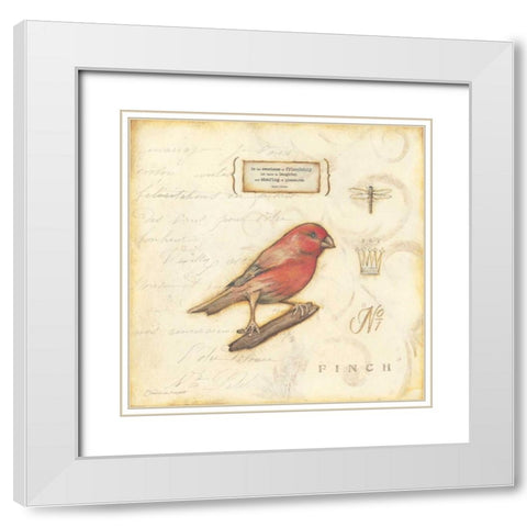 Color Bird I White Modern Wood Framed Art Print with Double Matting by Marrott, Stephanie