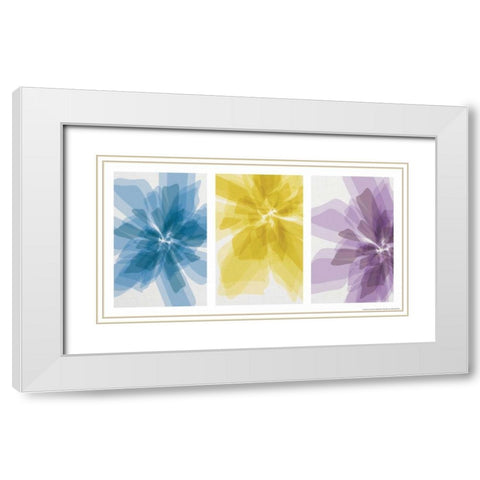 Three Xray Flowers White Modern Wood Framed Art Print with Double Matting by Brando, JJ