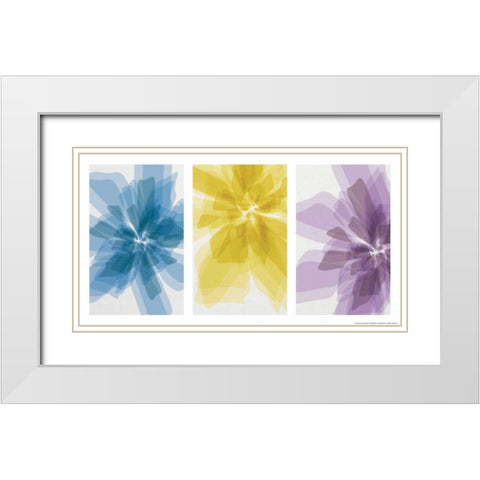 Three Xray Flowers White Modern Wood Framed Art Print with Double Matting by Brando, JJ
