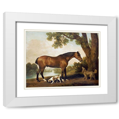 A Bay Hunter, a Springer Spaniel and a Sussex Spaniel, 1782 White Modern Wood Framed Art Print with Double Matting by Stubbs, George