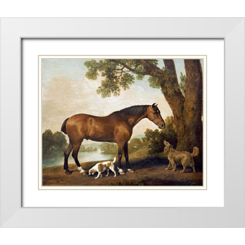 A Bay Hunter, a Springer Spaniel and a Sussex Spaniel, 1782 White Modern Wood Framed Art Print with Double Matting by Stubbs, George