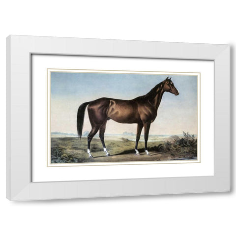 Celebrated Horse Lexington White Modern Wood Framed Art Print with Double Matting by Currier and Ives