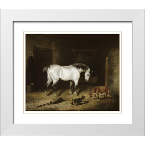 White Horse White Modern Wood Framed Art Print with Double Matting by Herring, John Frederick