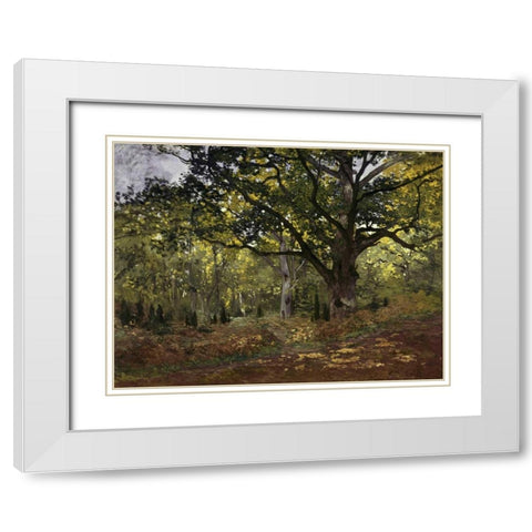 Bodmer Oak, Fontainebleau Forest, 1865 White Modern Wood Framed Art Print with Double Matting by Monet, Claude