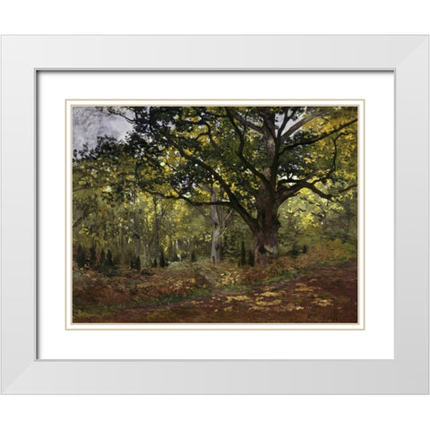 Bodmer Oak, Fontainebleau Forest, 1865 White Modern Wood Framed Art Print with Double Matting by Monet, Claude