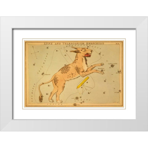 Lynx and Telescopium Herschilii, 1825 White Modern Wood Framed Art Print with Double Matting by Aspin, Jehoshaphat