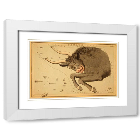 Taurus the Bull, 1825 White Modern Wood Framed Art Print with Double Matting by Aspin, Jehoshaphat