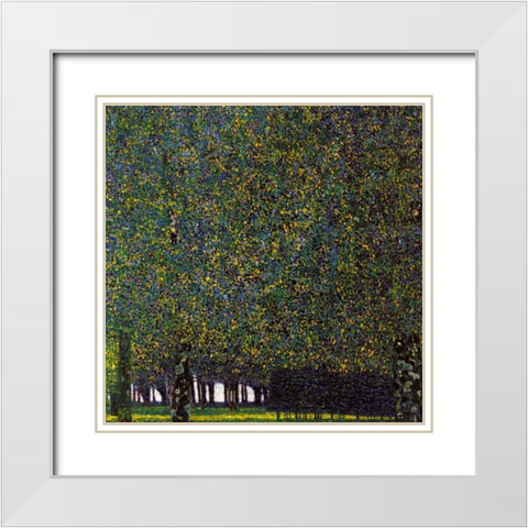 Park White Modern Wood Framed Art Print with Double Matting by Klimt, Gustav