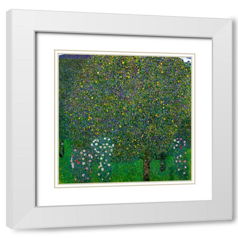 Roses Under Trees 1904 White Modern Wood Framed Art Print with Double Matting by Klimt, Gustav