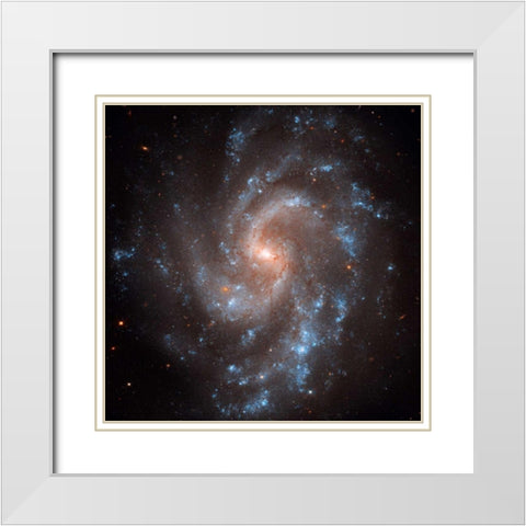 NGC 5584 White Modern Wood Framed Art Print with Double Matting by NASA