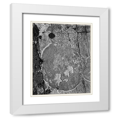 Lichons, Glacier National Park, Montana - National Parks and Monuments, 1941 White Modern Wood Framed Art Print with Double Matting by Adams, Ansel