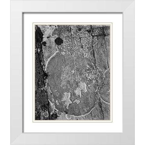 Lichons, Glacier National Park, Montana - National Parks and Monuments, 1941 White Modern Wood Framed Art Print with Double Matting by Adams, Ansel