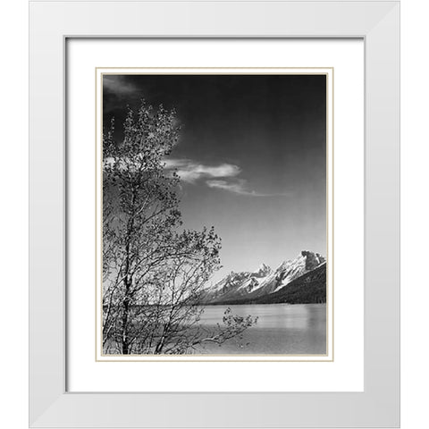 View of mountains with tree in foreground, Grand Teton National Park, Wyoming, 1941 White Modern Wood Framed Art Print with Double Matting by Adams, Ansel