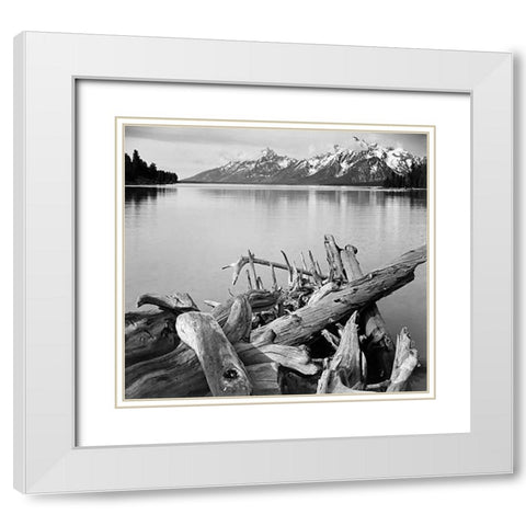 Driftwood on shore of Jackson Lake, with Teton Range in background, Grand Teton National Park, Wyomi White Modern Wood Framed Art Print with Double Matting by Adams, Ansel