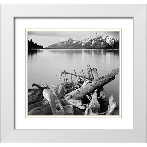 Driftwood on shore of Jackson Lake, with Teton Range in background, Grand Teton National Park, Wyomi White Modern Wood Framed Art Print with Double Matting by Adams, Ansel
