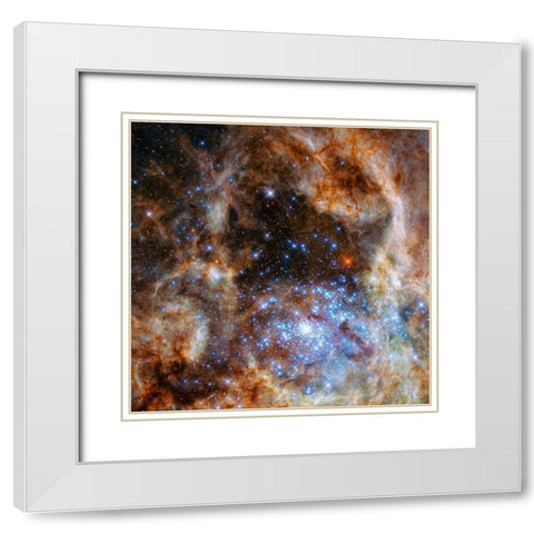 Star Cluster R136 White Modern Wood Framed Art Print with Double Matting by NASA