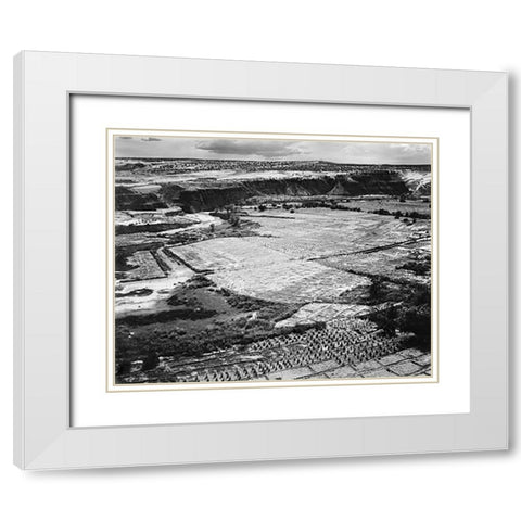 Corn Field, Indian Farm near Tuba City, Arizona, in Rain, 1941 White Modern Wood Framed Art Print with Double Matting by Adams, Ansel