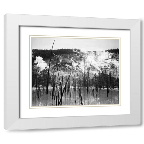 Barren trunks in water near steam rising from mountains, Roaring Mountain, Yellowstone National Park White Modern Wood Framed Art Print with Double Matting by Adams, Ansel