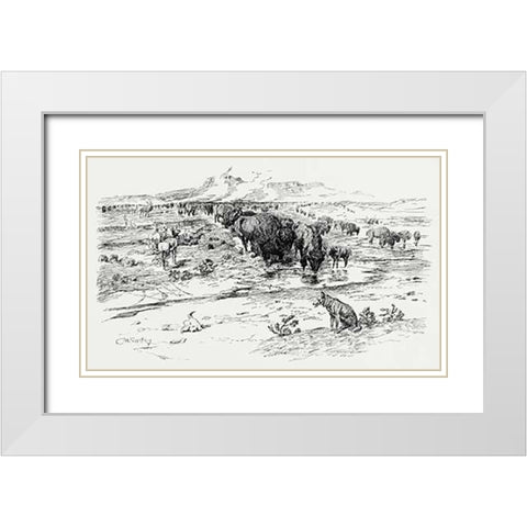 Natures Cattle, 1899 White Modern Wood Framed Art Print with Double Matting by Russell, Charles