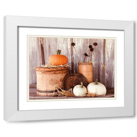 Autumn Pumpkins White Modern Wood Framed Art Print with Double Matting by Smith, Anthony