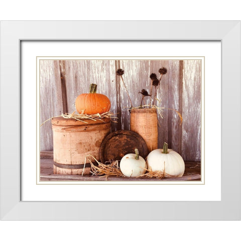 Autumn Pumpkins White Modern Wood Framed Art Print with Double Matting by Smith, Anthony
