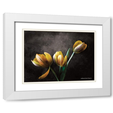 Contemporary Floral Tulips White Modern Wood Framed Art Print with Double Matting by Bluebird Barn