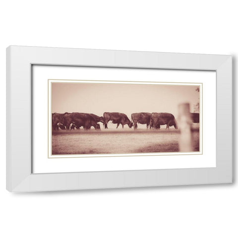 Cattle Row White Modern Wood Framed Art Print with Double Matting by Quillen, Donnie