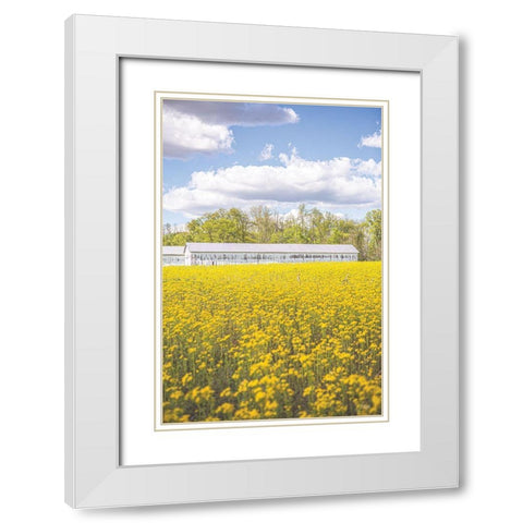 Field of Yellow I White Modern Wood Framed Art Print with Double Matting by Quillen, Donnie
