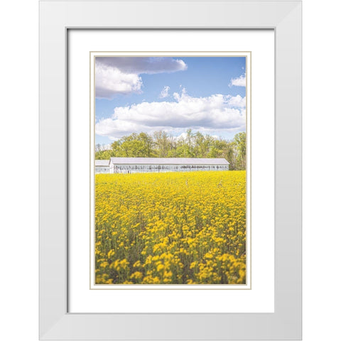 Field of Yellow I White Modern Wood Framed Art Print with Double Matting by Quillen, Donnie