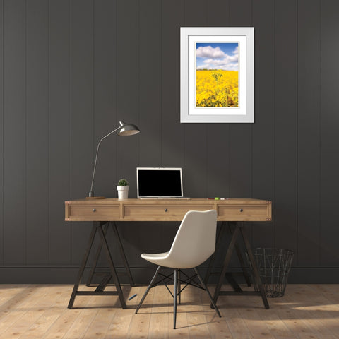 Field of Yellow III White Modern Wood Framed Art Print with Double Matting by Quillen, Donnie