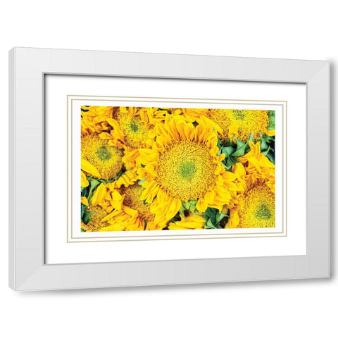 Fall Feels I White Modern Wood Framed Art Print with Double Matting by Quillen, Donnie