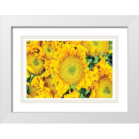 Fall Feels I White Modern Wood Framed Art Print with Double Matting by Quillen, Donnie
